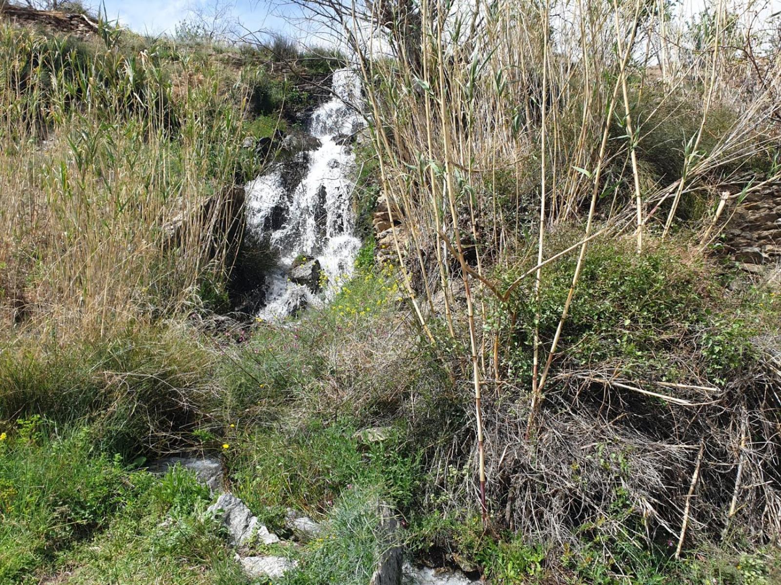 Casa Rural Serrano Abrucena Luaran gambar